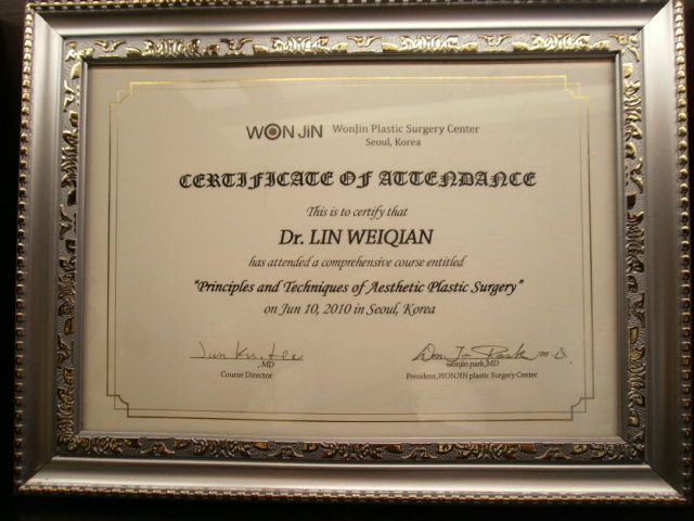 韓國(guó)綜合性整形美容研究