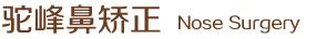 駝峰鼻矯正